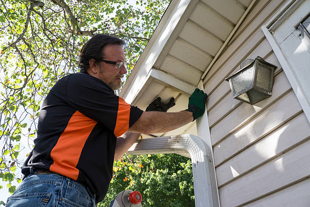 Best Same-Day Junk Removal Services  in Kelly Ridge, CA